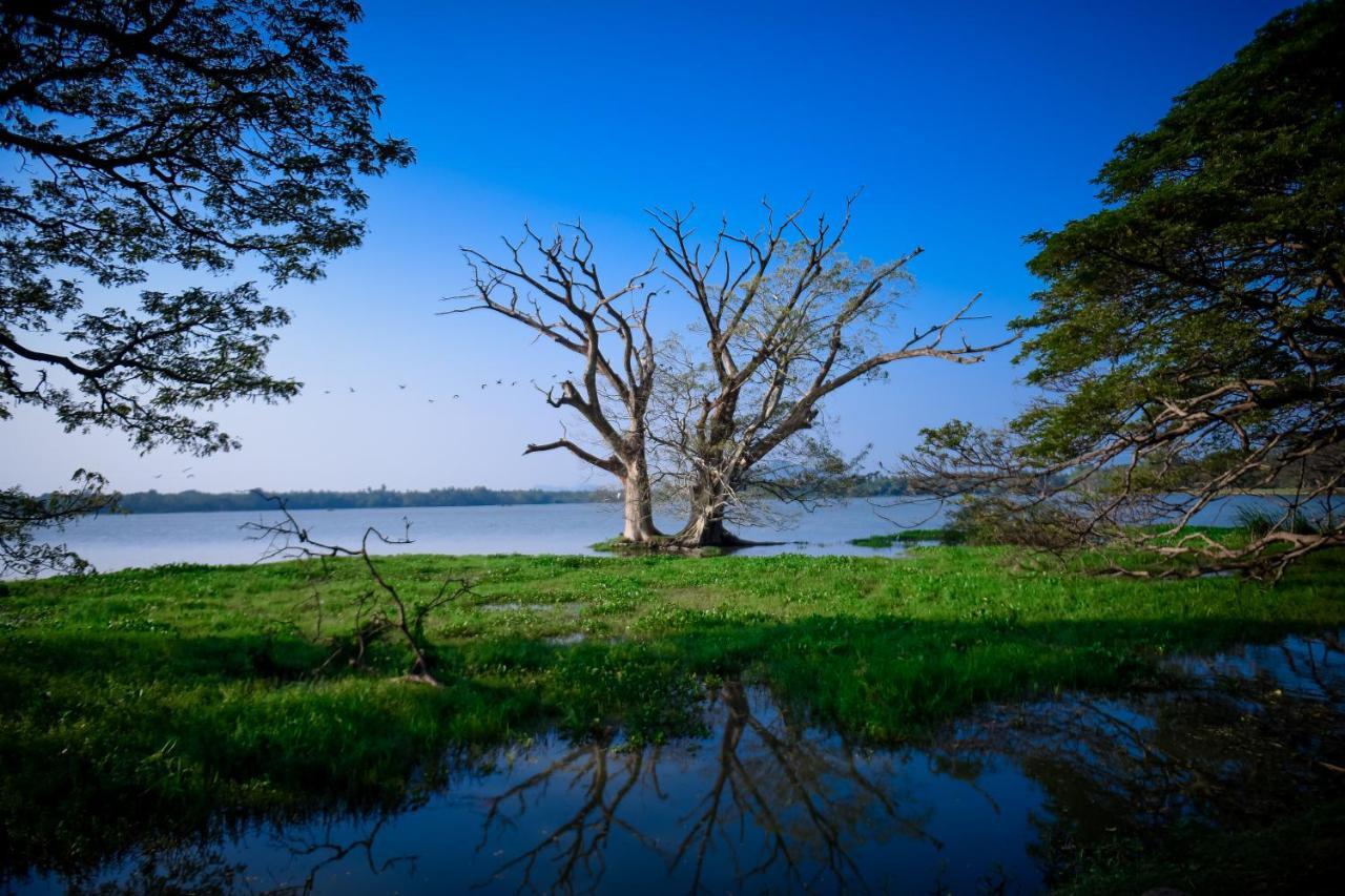 Double Lake View Tissa & Safari Tissamaharama Bagian luar foto