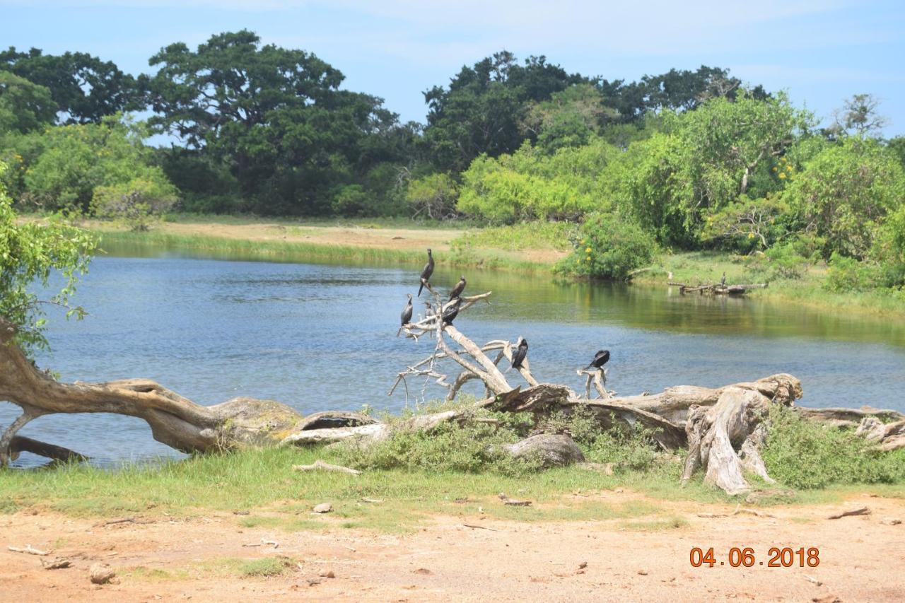 Double Lake View Tissa & Safari Tissamaharama Bagian luar foto
